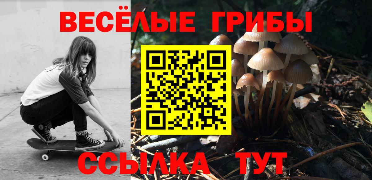 Галлюциногенные грибы GOLDEN TEACHER  Вход с VPN  Калач-на-Дону 